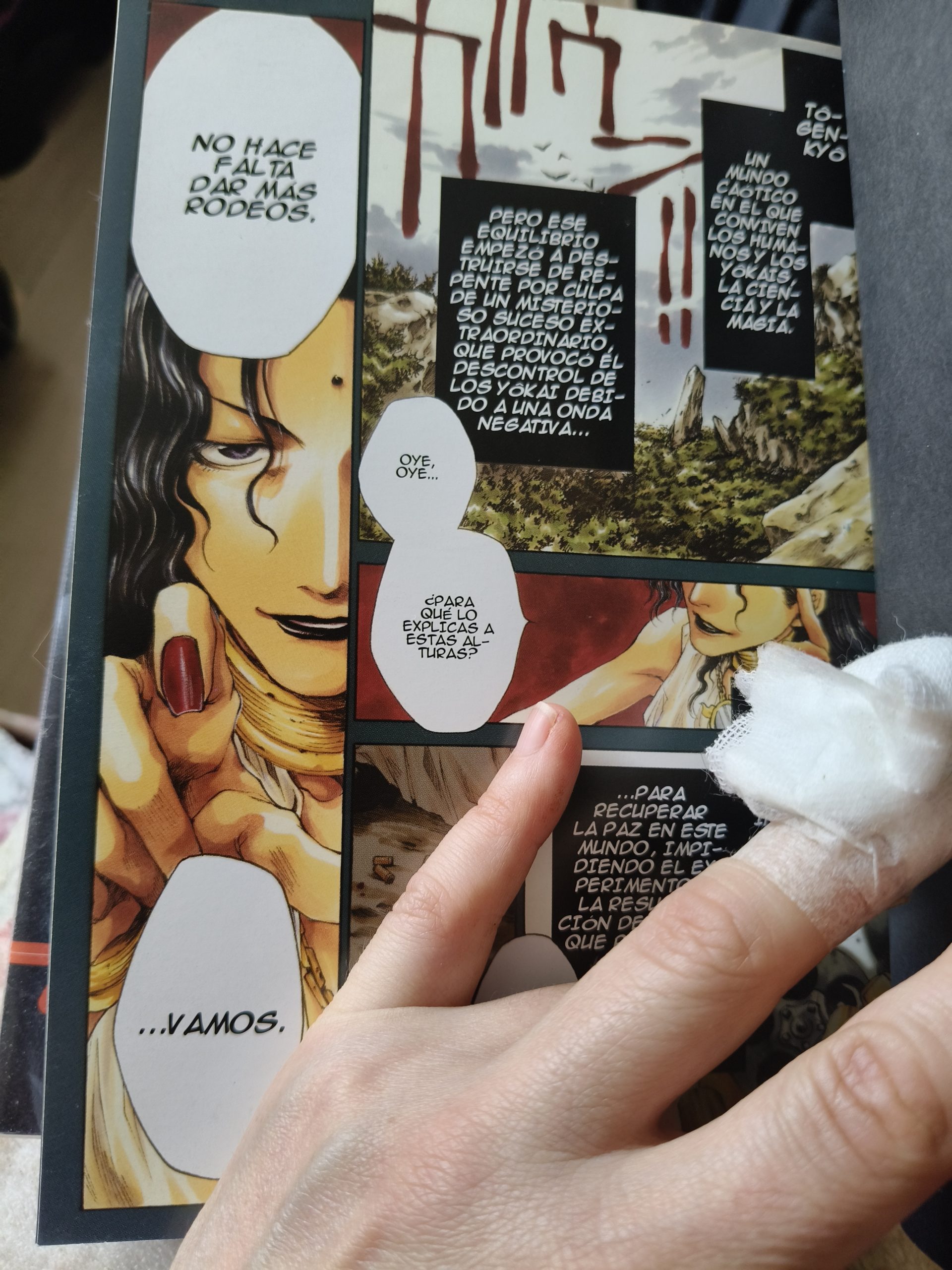 Manga saiyuki 1-3