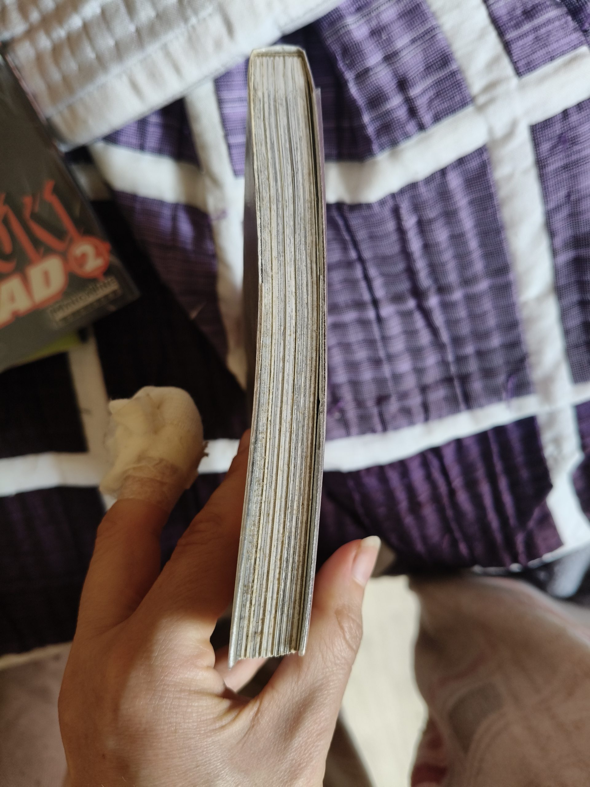 Manga saiyuki 1-3