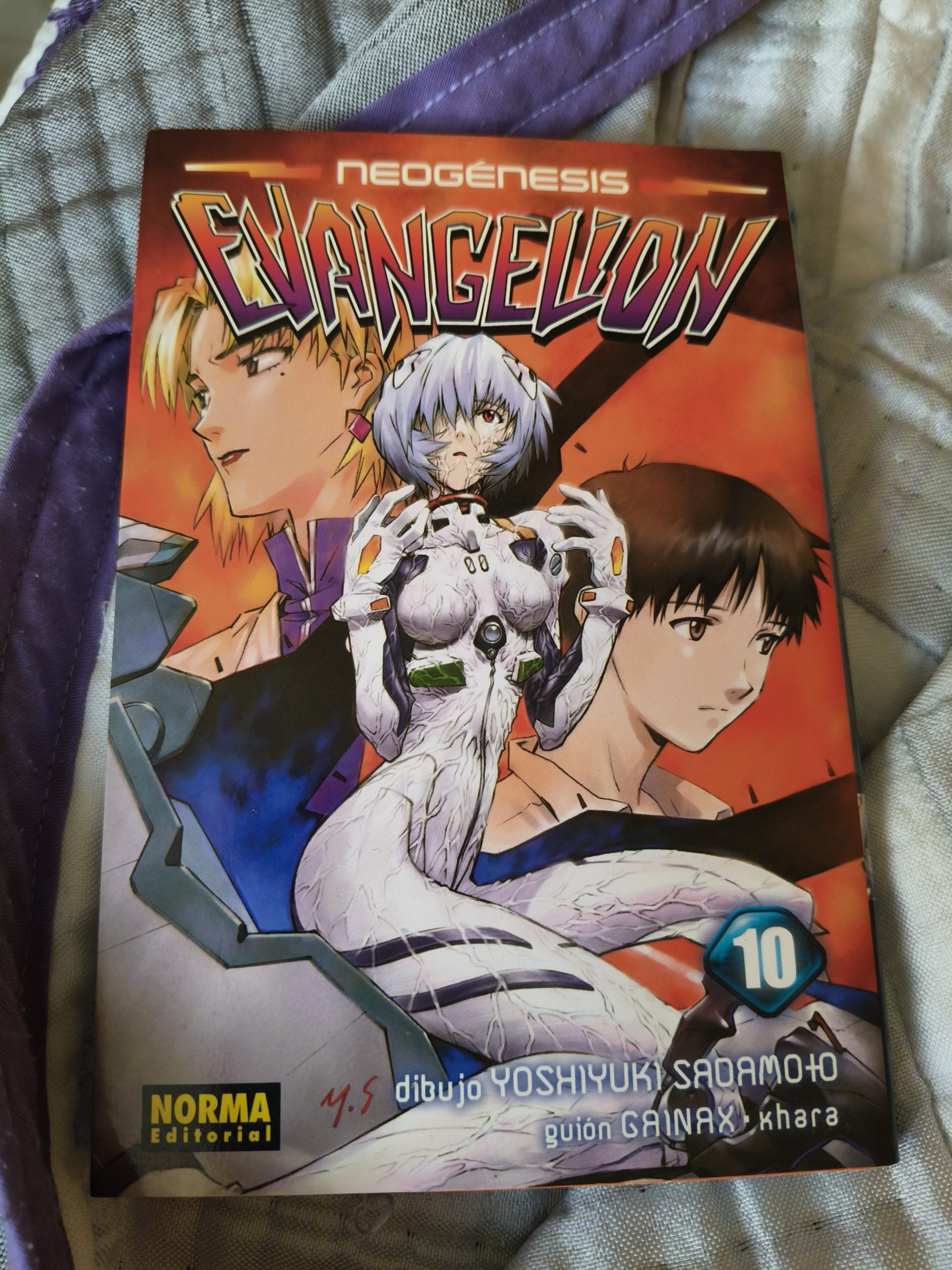 Manga evangelion tomo 10