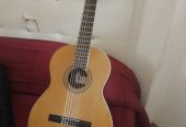 Guitarra