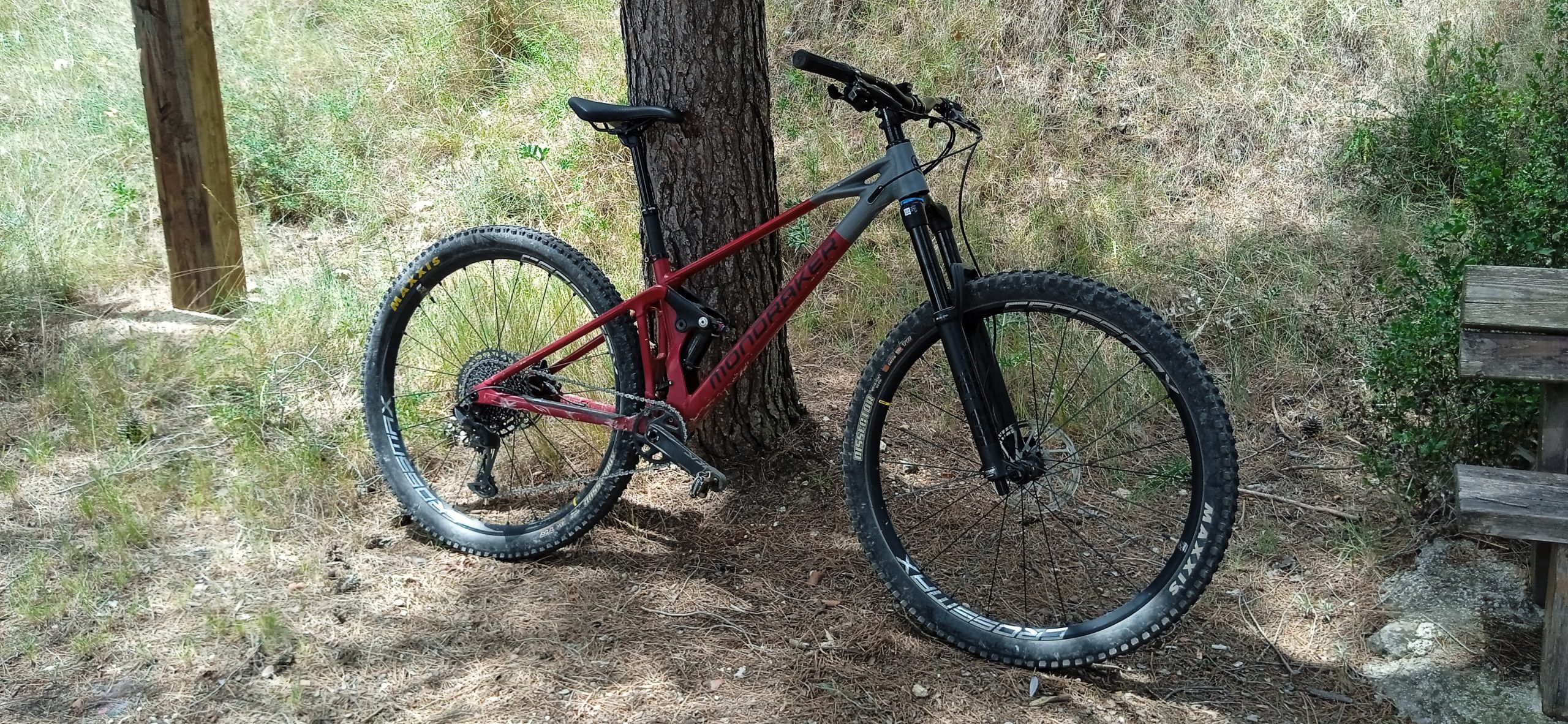 Bicicleta de montaña