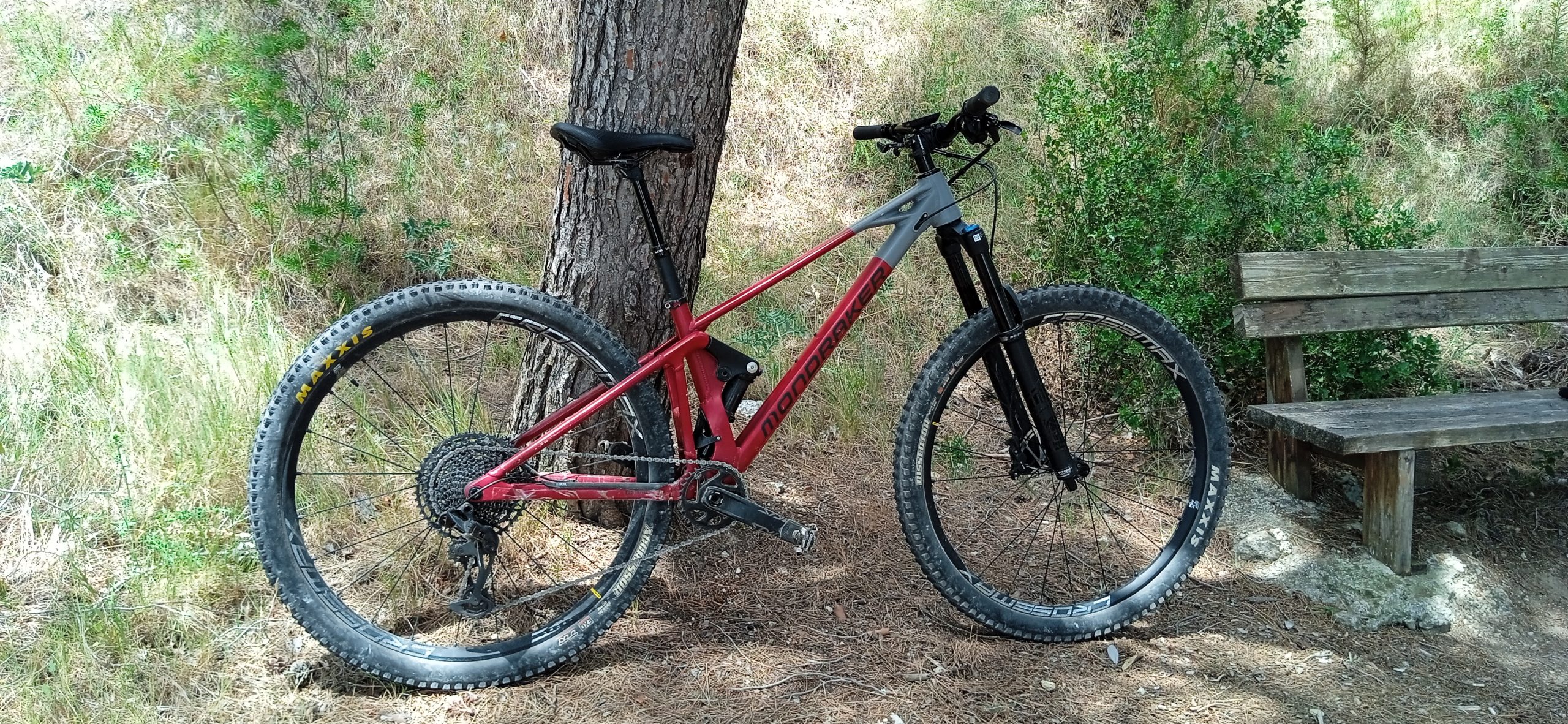 Bicicleta de montaña